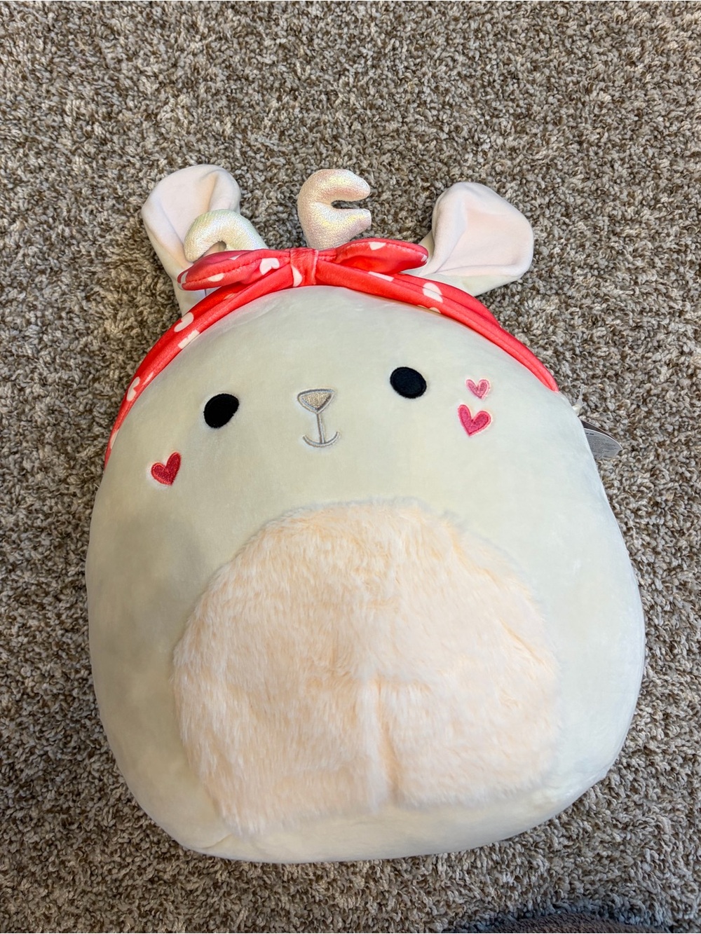 New With Tags Coralie Squishmallows